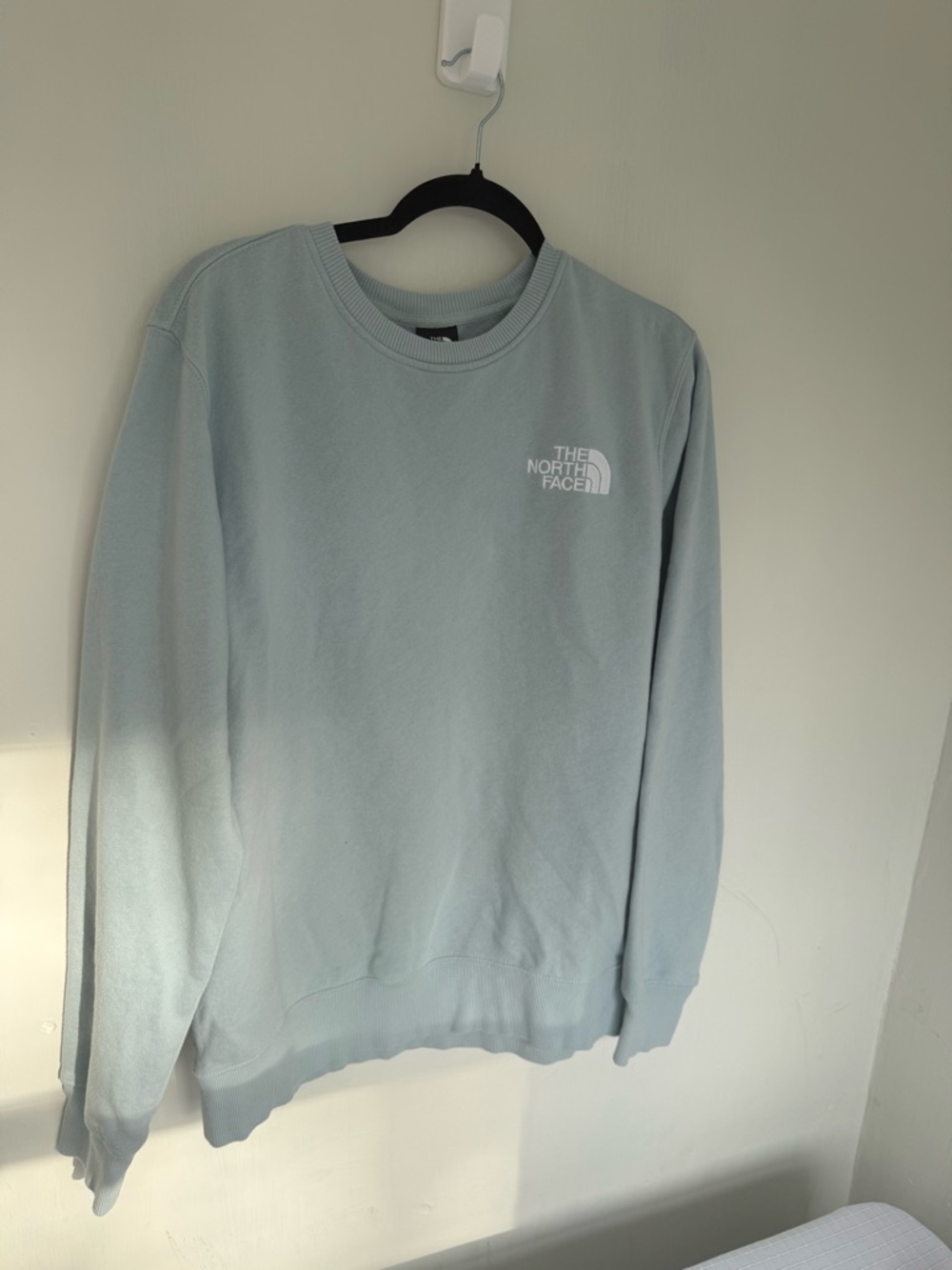 The North Face Unisex Pale Blue Crewneck Sweatshirt